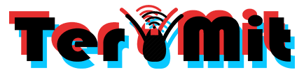 Logo producător aer condiționat TerMit România